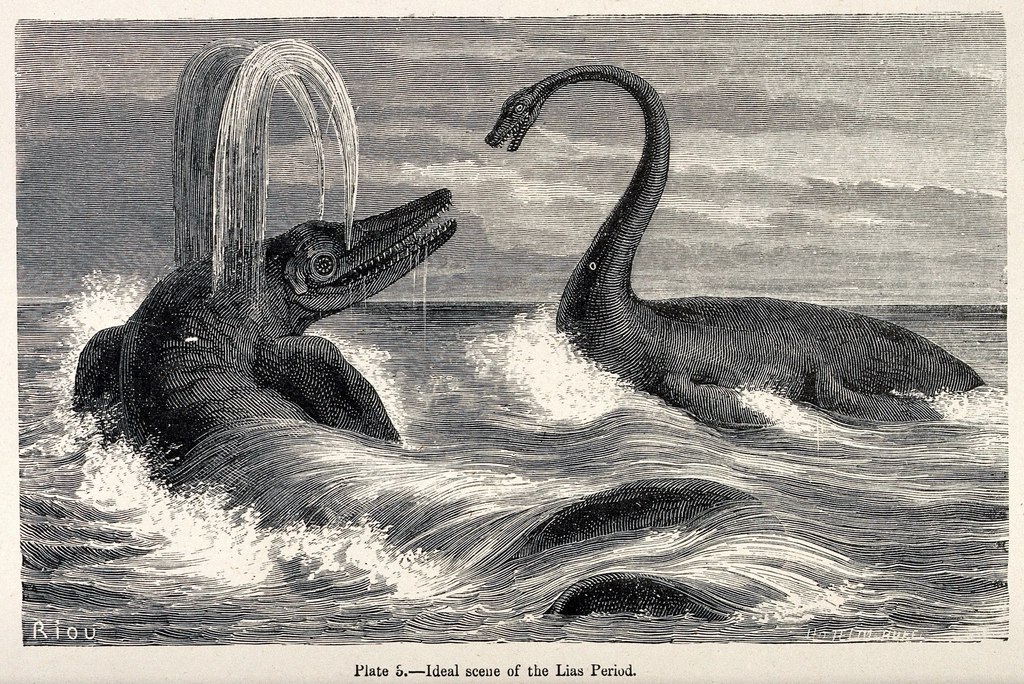 Sauropods: The Floating Giants (image credits: rawpixel)
