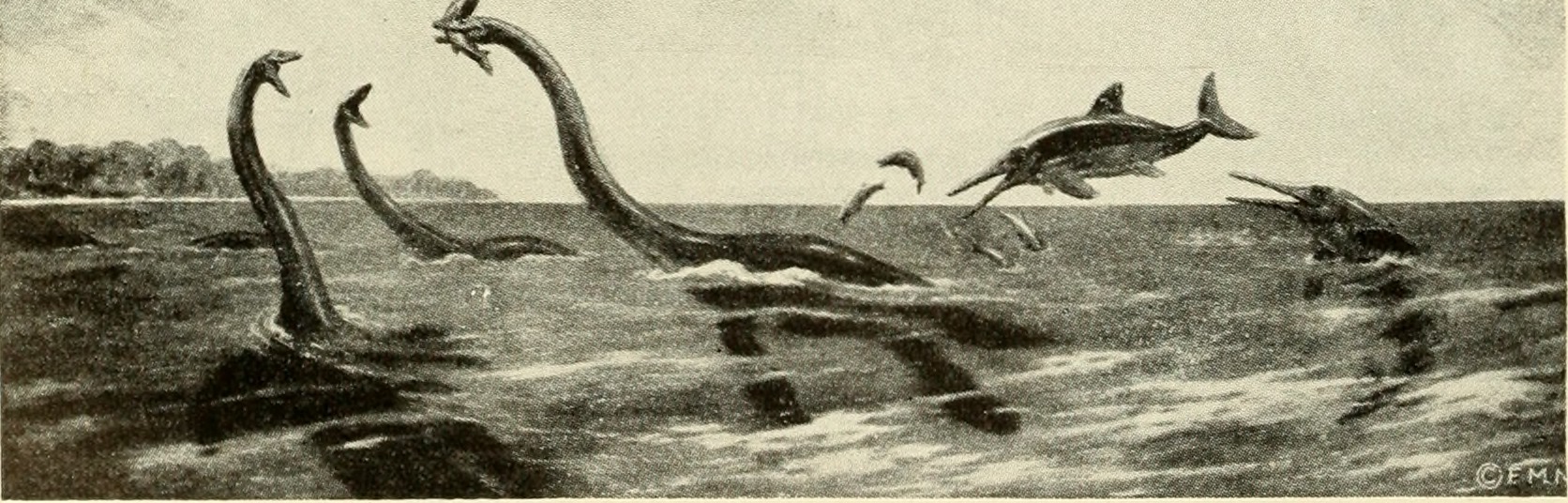 Pterosaurs: Masters of Multiple Elements (image credits: wikimedia)