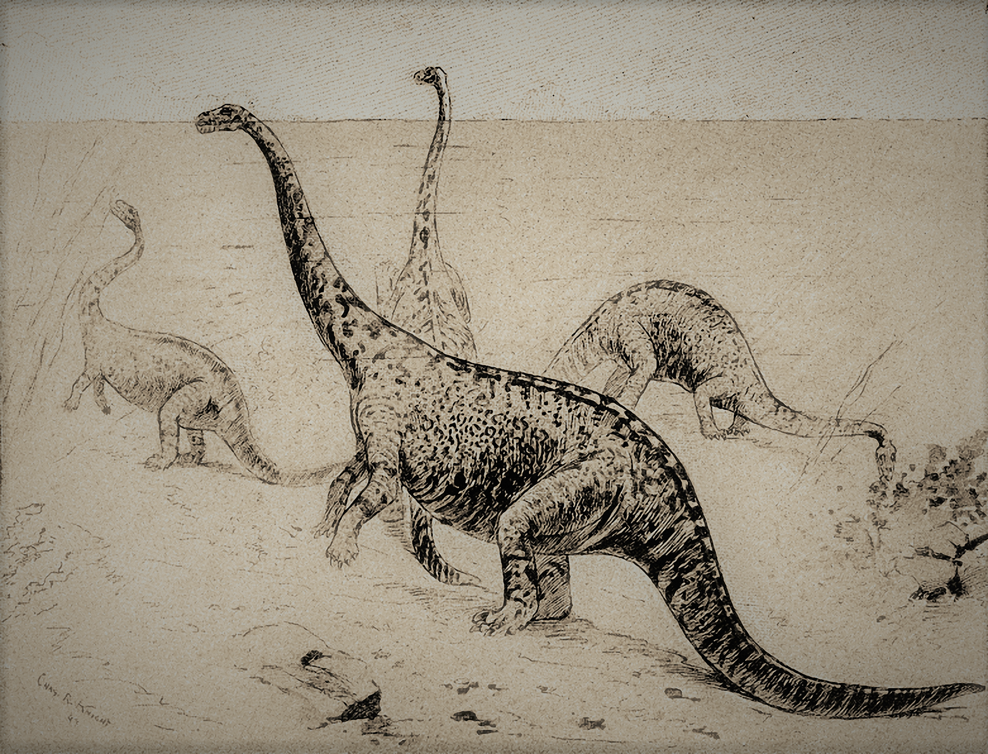 Evidence from Fossil Trackways (image credits: Making of America, Public domain, https://commons.wikimedia.org/w/index.php?curid=3338953)