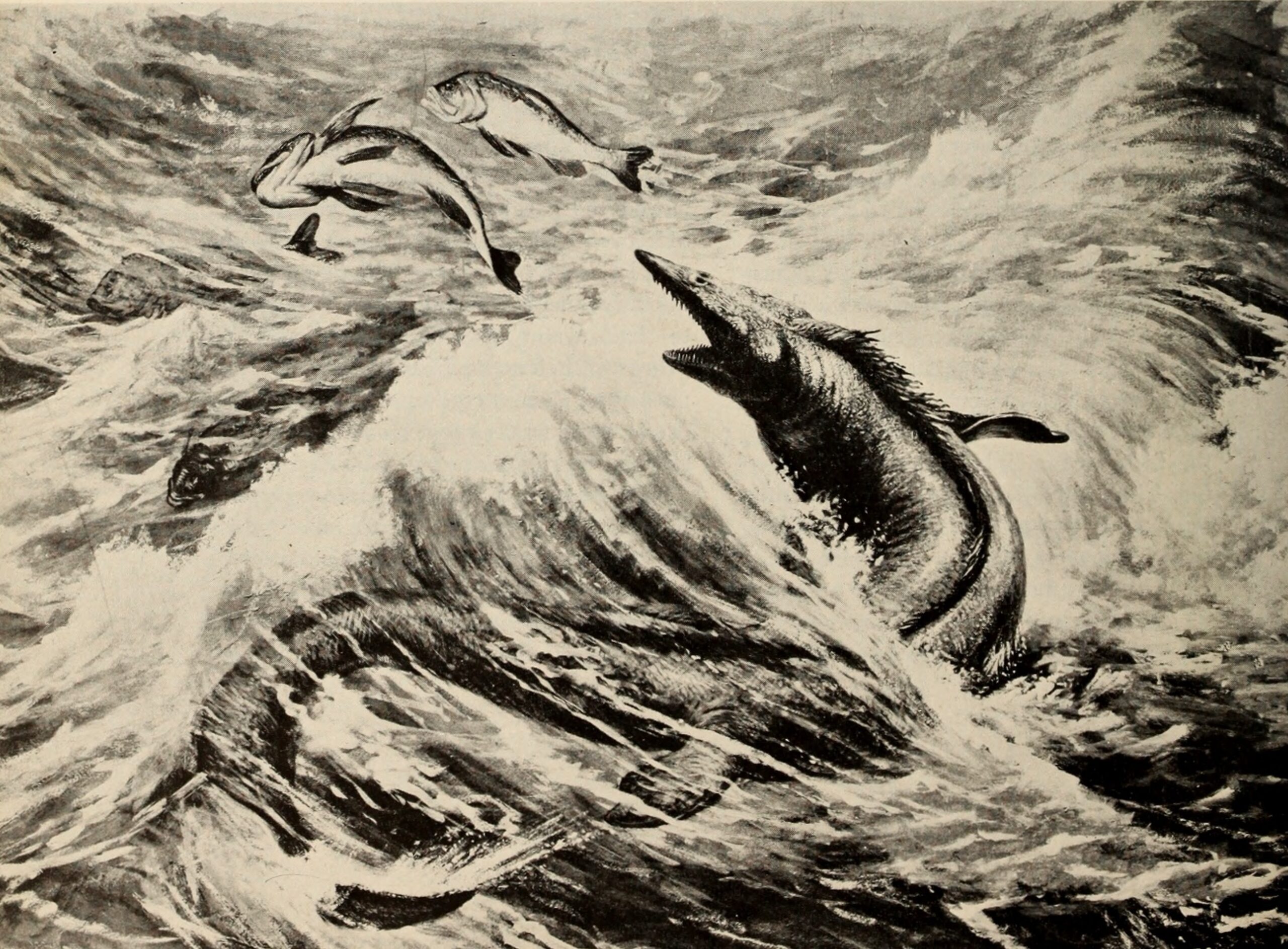 Predator-Prey Relationships in Aquatic Environments (image credits: wikimedia)