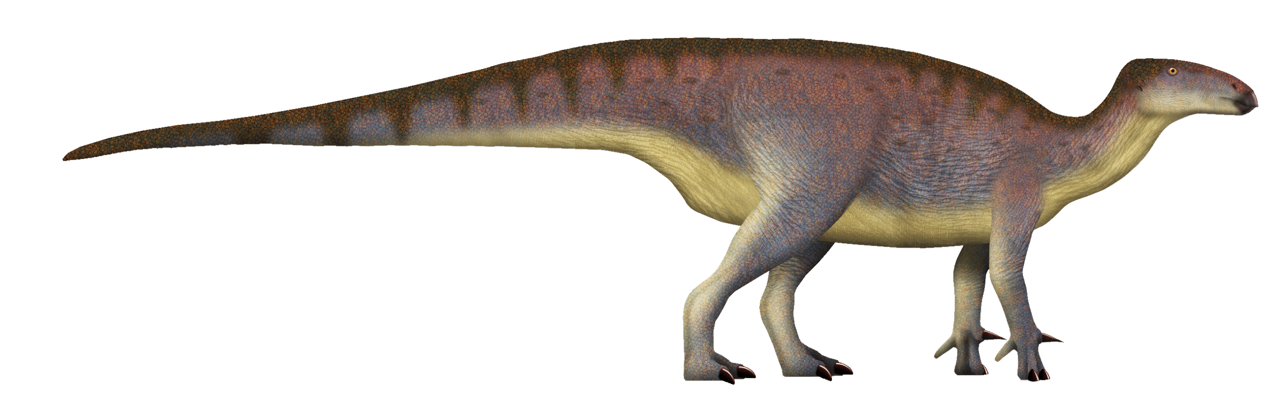 The Gentle Giants: Herbivorous Titans (image credits: wikimedia)