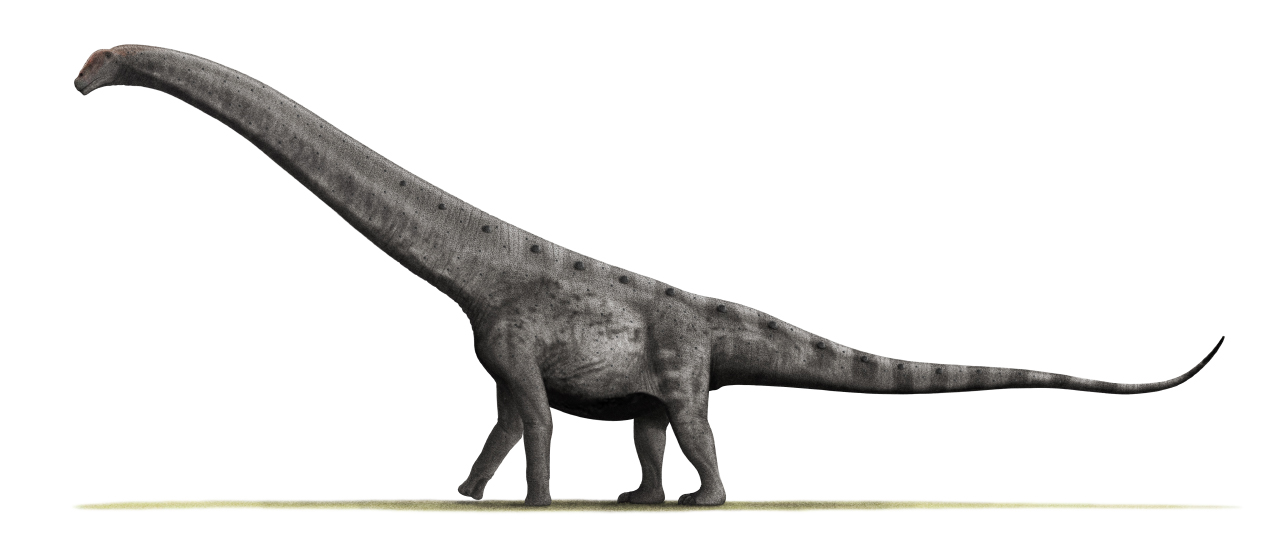 Size Extremes That Challenge Reality (image credits: By Nobu Tamura (http://spinops.blogspot.com), CC BY 3.0, https://commons.wikimedia.org/w/index.php?curid=19462836)