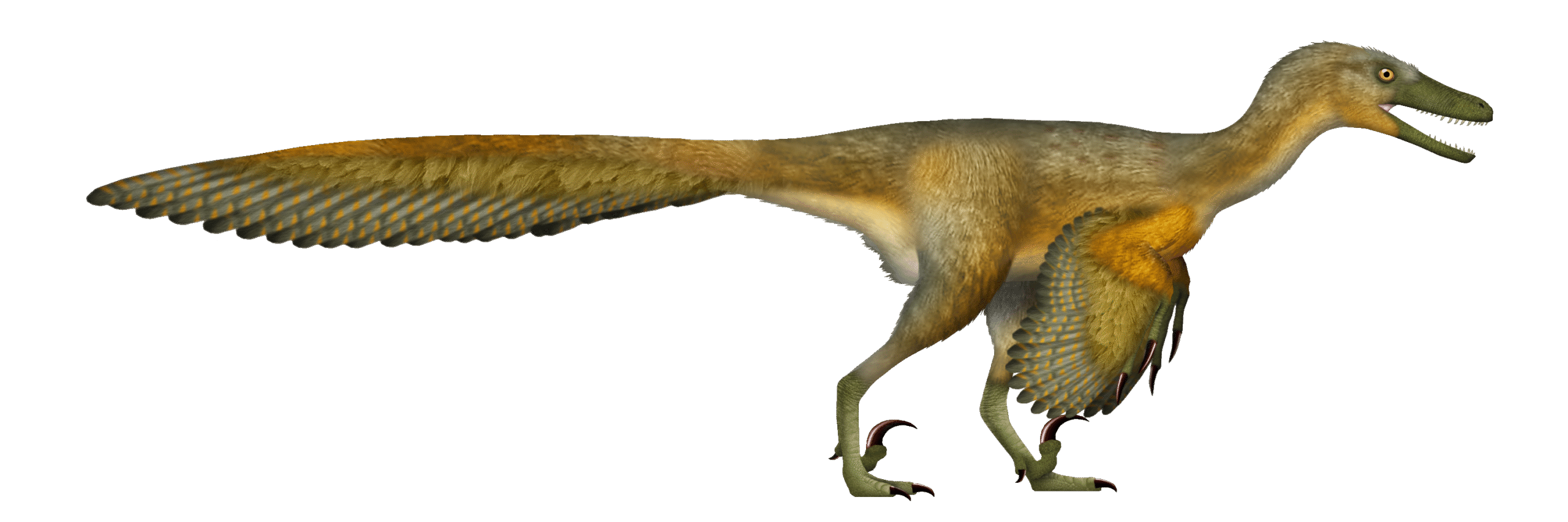 Speed vs. Stealth: The Raptor Revolution (image credits: By UnexpectedDinoLesson, CC BY 4.0, https://commons.wikimedia.org/w/index.php?curid=151485961)