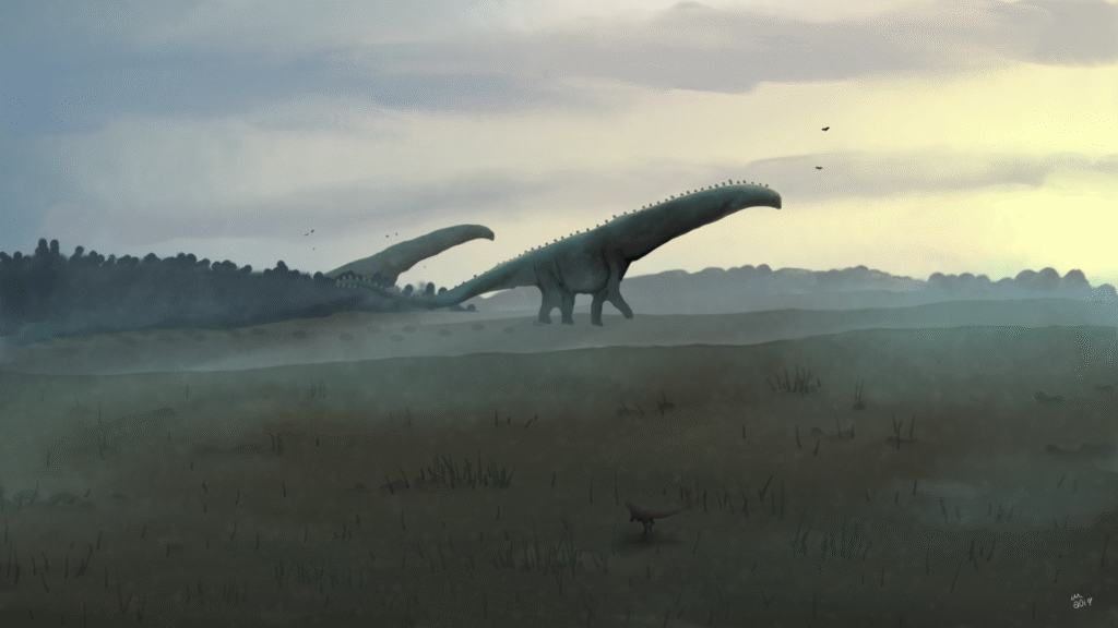 The Herbivore Response: Size and Numbers