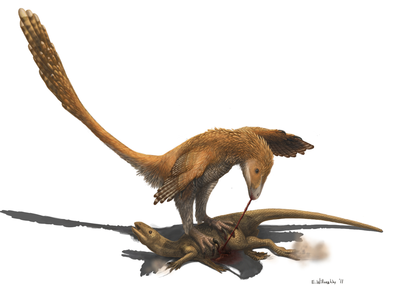 The Art of Disappearing: Camouflage Revolution (image credits: By Emily Willoughby (e.deinonychus@gmail.com http://emilywilloughby.artworkfolio.com/), CC BY-SA 3.0, https://commons.wikimedia.org/w/index.php?curid=17800609)