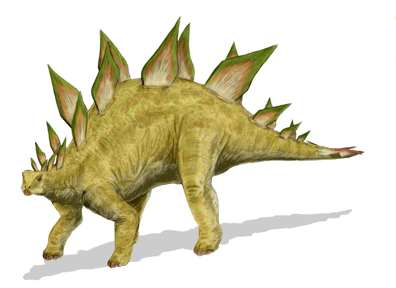 Armor and Spikes: Physical Defense Innovations (image credits: By Nobu Tamura (http://spinops.blogspot.com), CC BY 2.5, https://commons.wikimedia.org/w/index.php?curid=19459399)