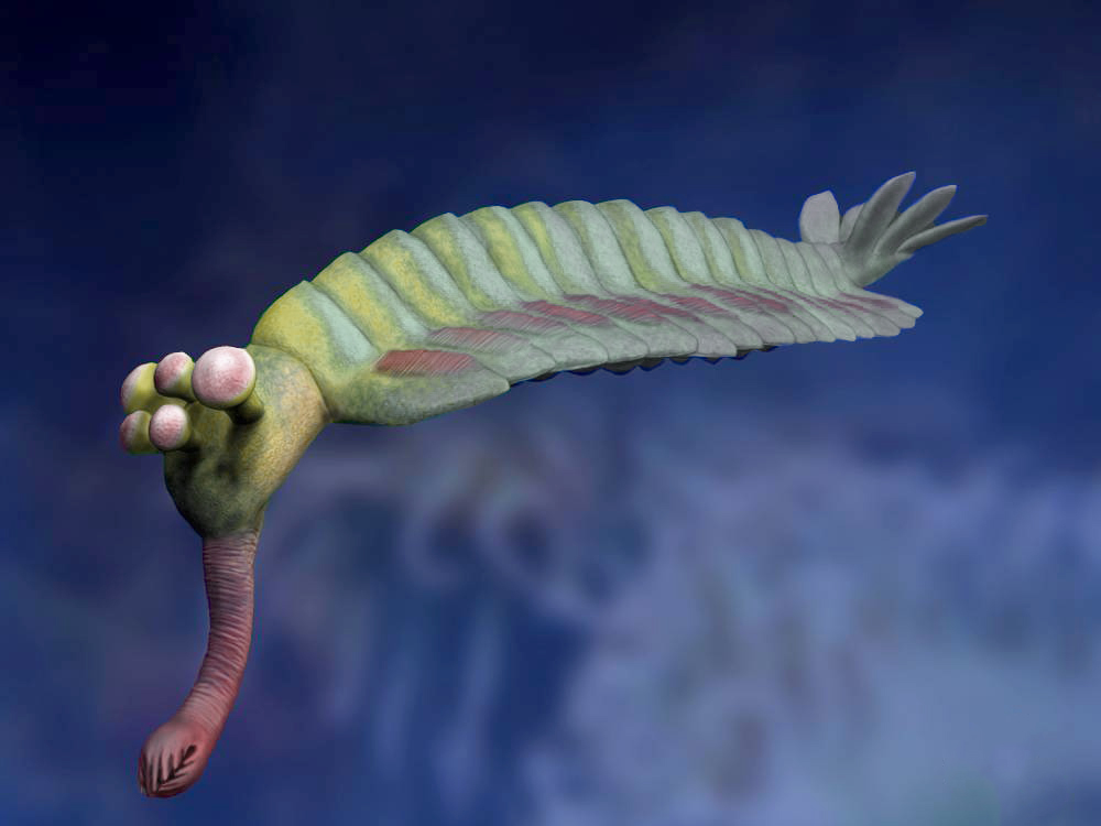 Opabinia regalis life restoration