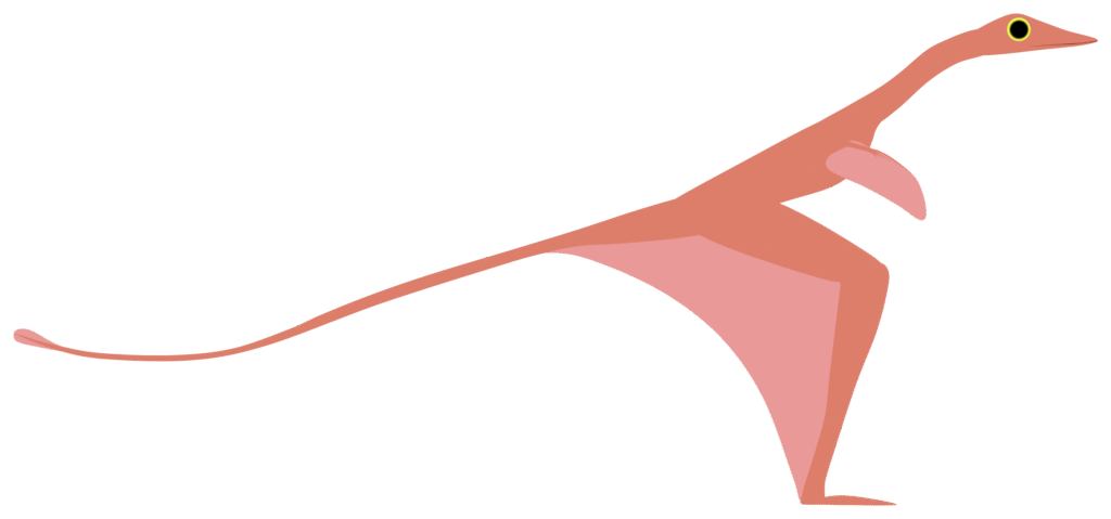 Illustration of a simple, stylized pink Sharovipteryx with a long neck, pointed head, and elongated tail against a white background.