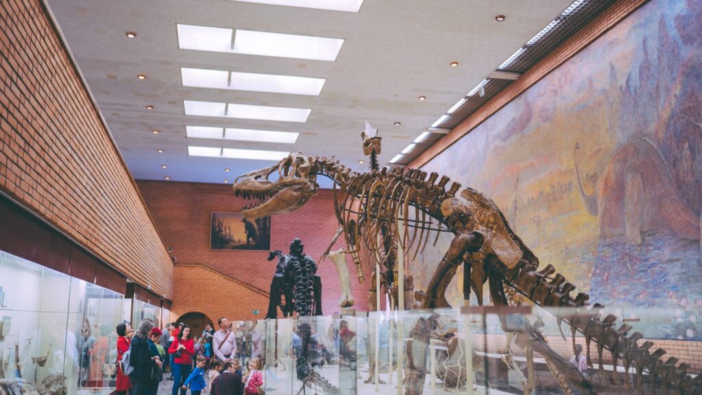 people standing near dinosaur skeleton