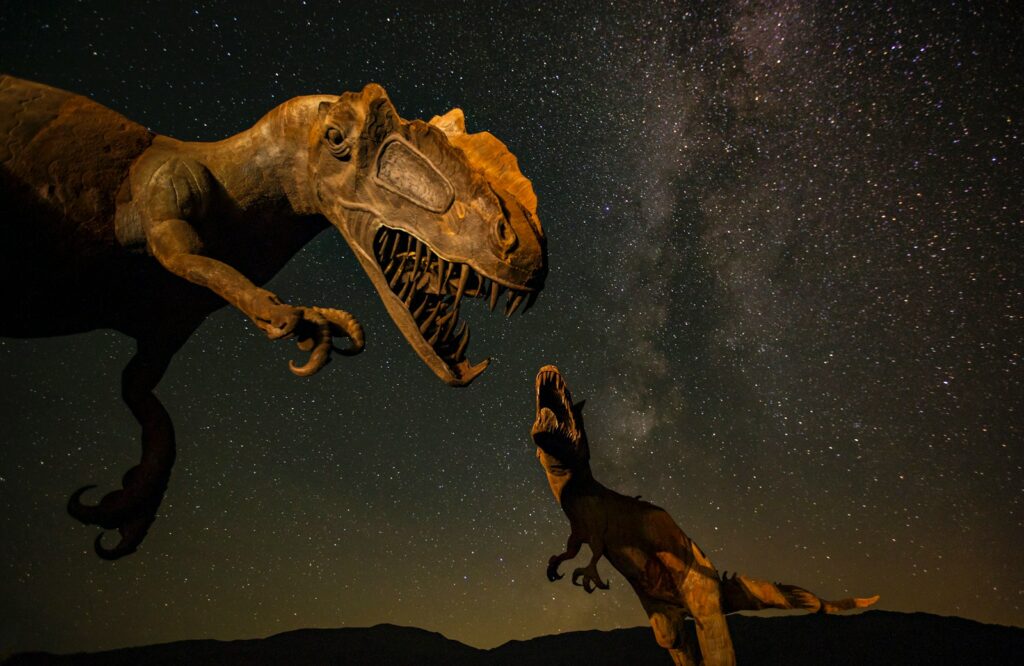 a group of animals in space
