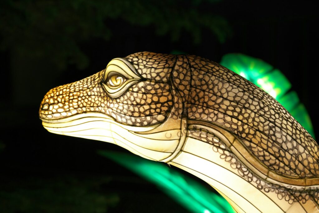A close up of a lit up alligator head