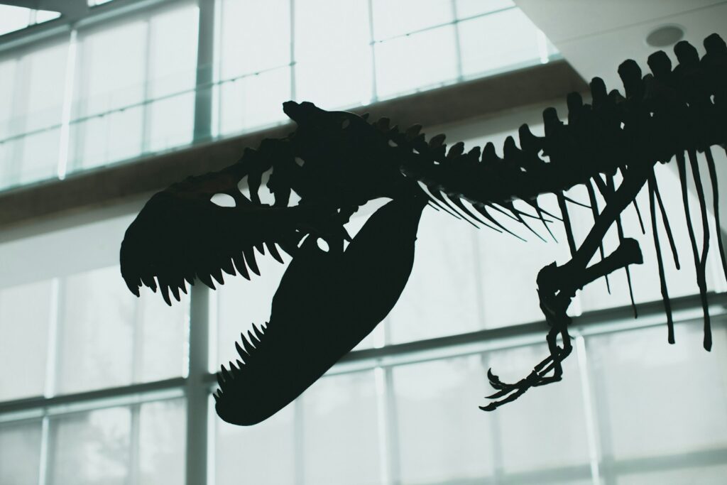 a dinosaur skeleton hanging from the ceiling of a building