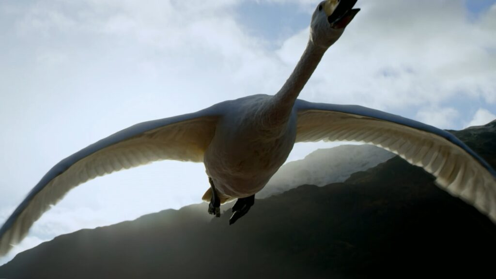 a large white bird flying through a cloudy sky