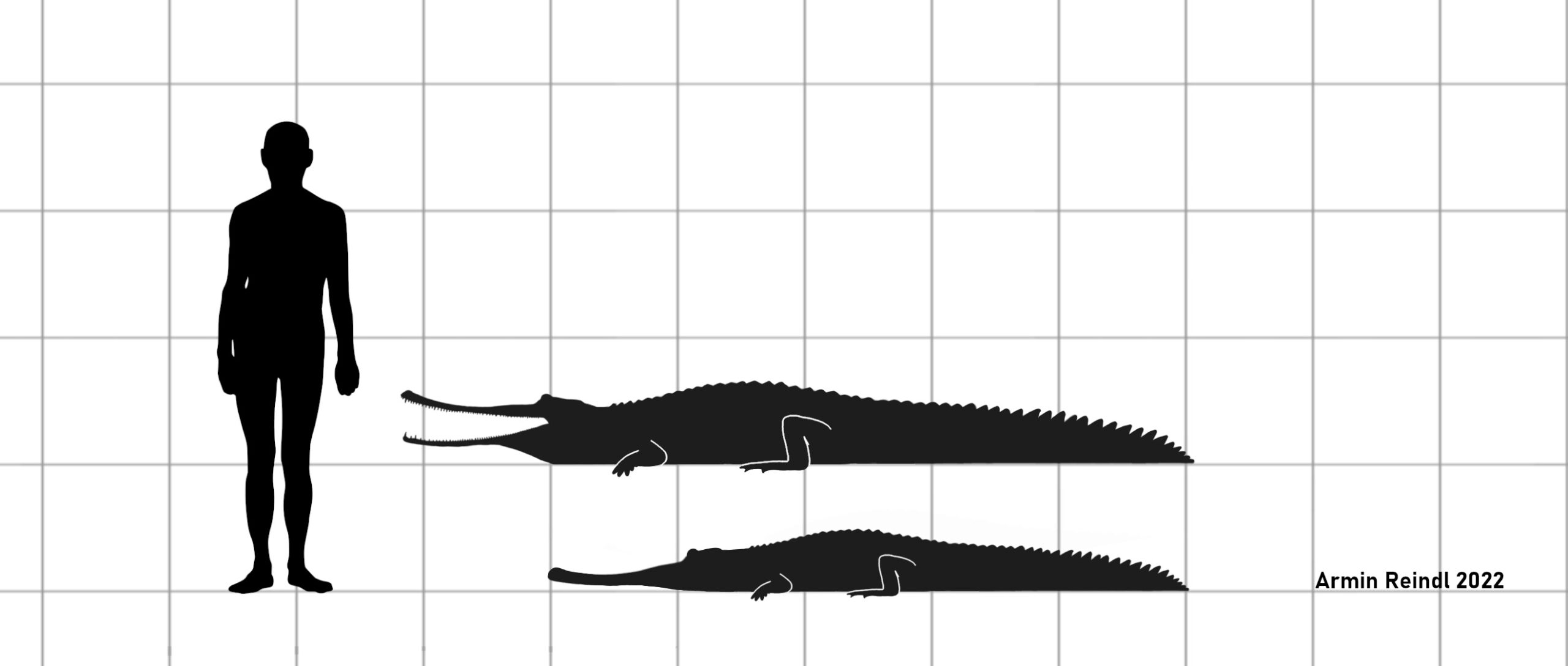 When Archosaurs Ruled Before Dinosaurs (image credits: By Armin Reindl, CC BY-SA 4.0, https://commons.wikimedia.org/w/index.php?curid=113223196)