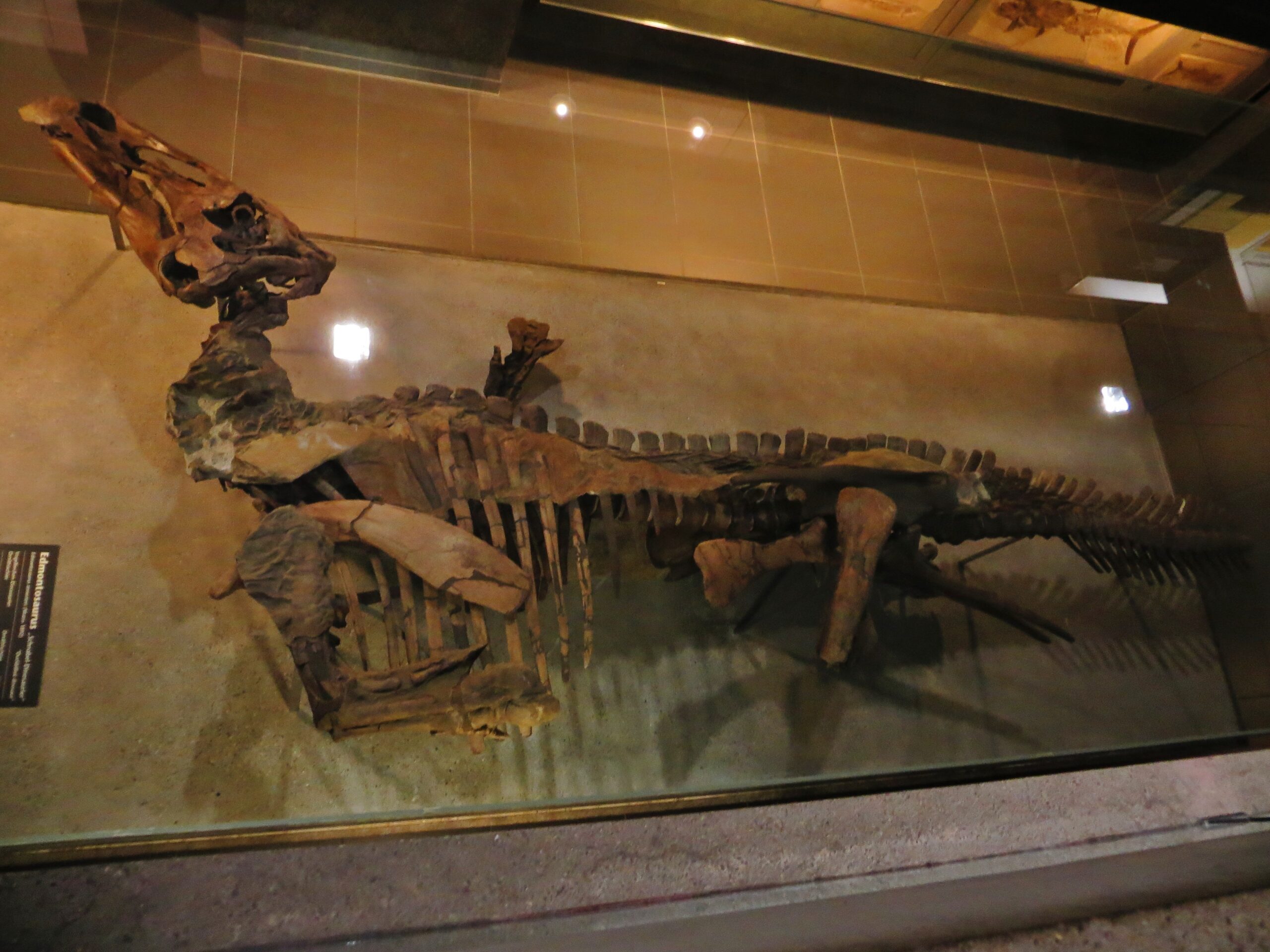 The Miracle of Preservation (image credits: wikimedia)