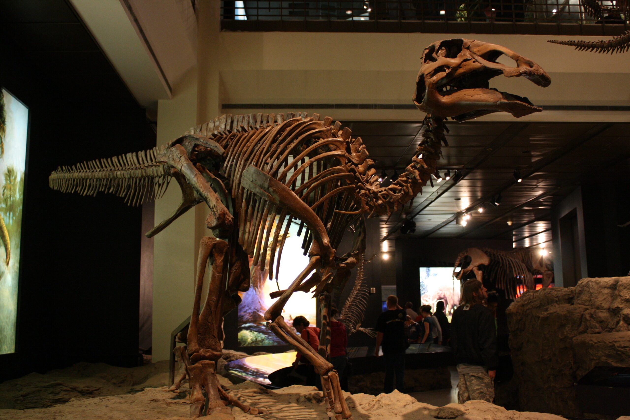 A New Understanding of Mummification (image credits: wikimedia)