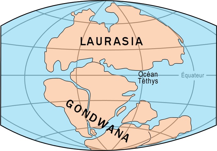 The Great Divide: Laurasia and Gondwana (image credits: wikimedia)