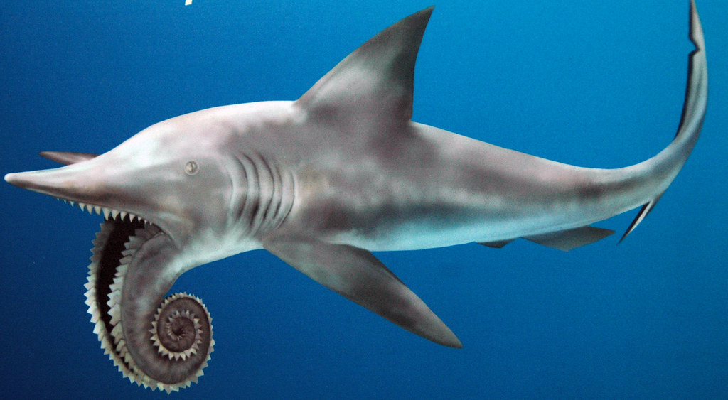 Prehistoric Sharks and Ancient Terror (image credits: flickr)