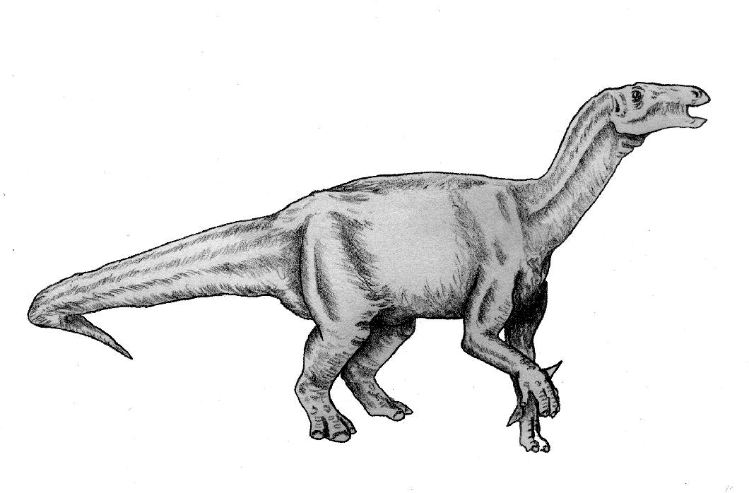 A Hippo-Like Dinosaur That Loved the Water (image credits: By User:Ghedo, CC BY 2.5, https://commons.wikimedia.org/w/index.php?curid=1998558)