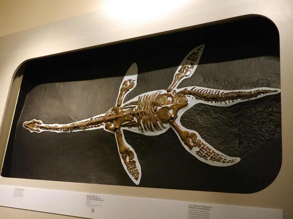 Ancient Marine Reptiles in Desert Rivers (image credits: flickr)