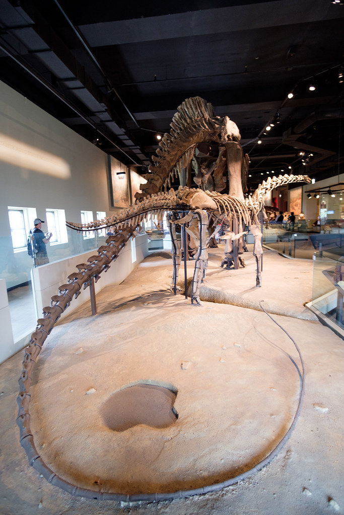 The Microsoft Millionaire Who Changed Dinosaur Science (image credits: flickr)