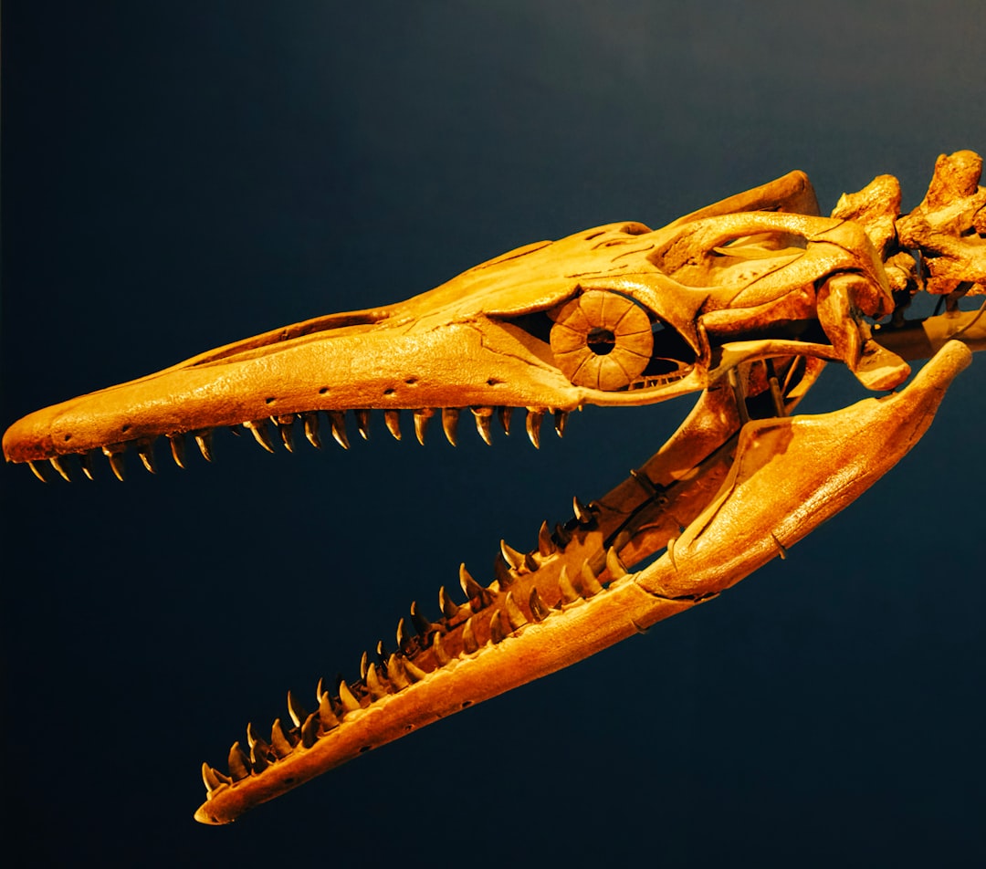 What This Means for De-Extinction Projects (image credits: unsplash)