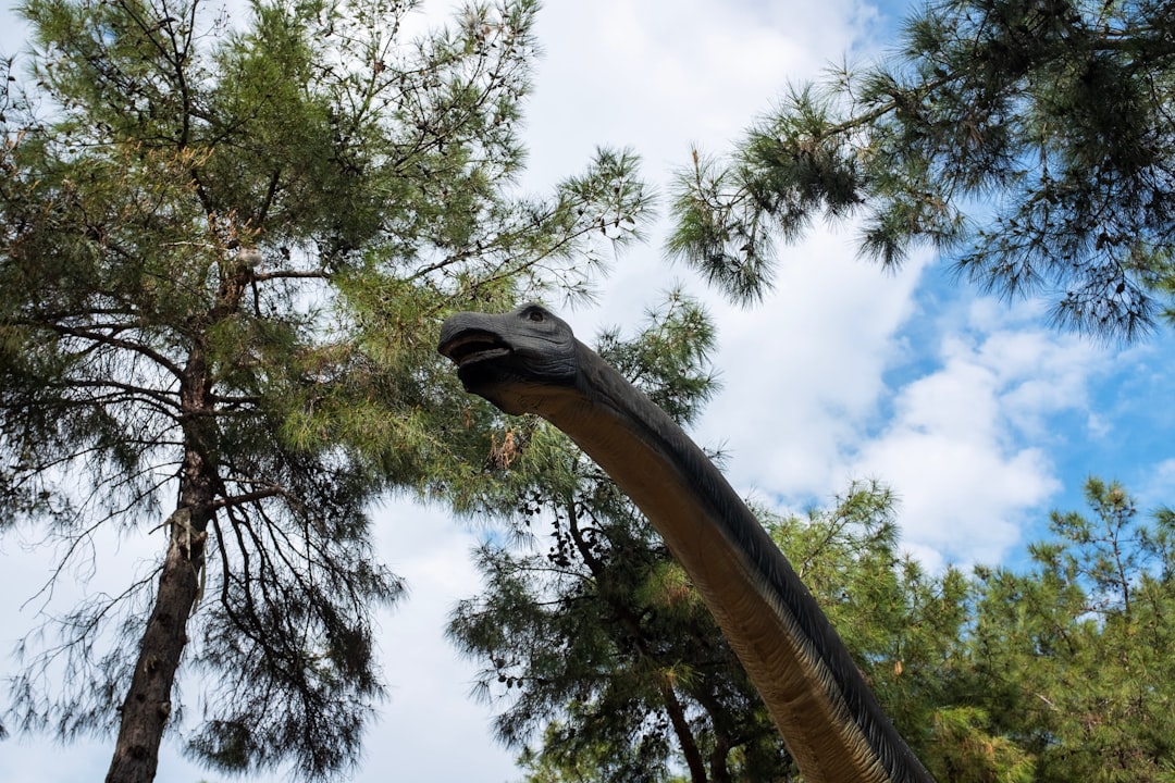 Climate and Size: Breaking the Rules (image credits: unsplash)