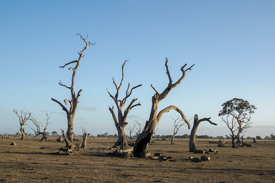 Lessons for Our Climate Future (image credits: unsplash)