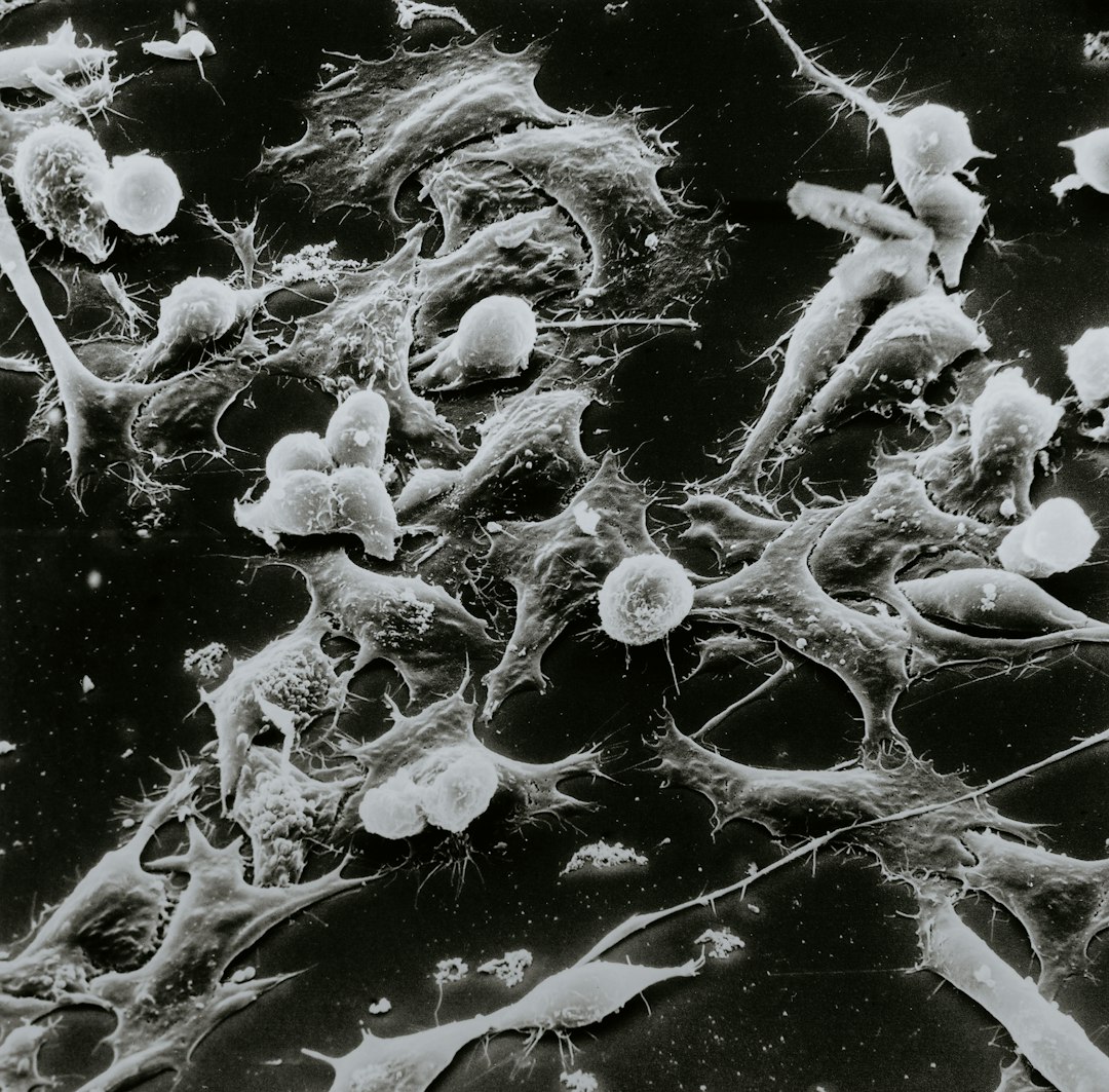 The Microbial Army of Decomposition (image credits: unsplash)