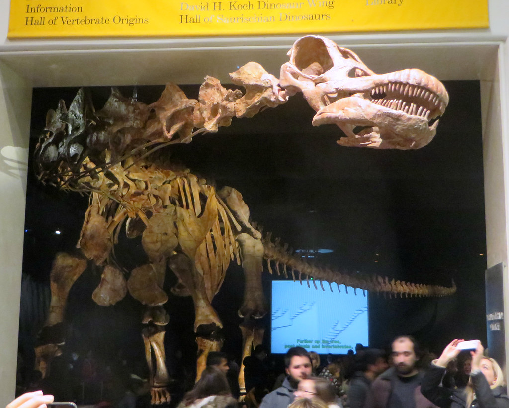 The Secret Behind Sauropod Gigantism (image credits: flickr)