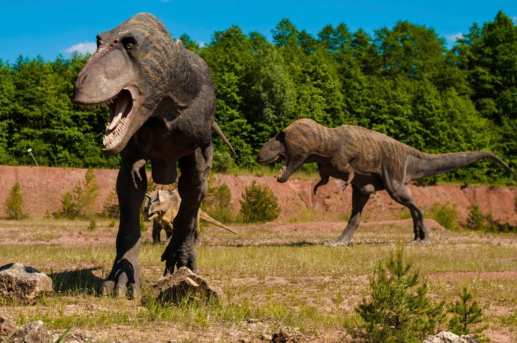 The Cretaceous Revolution (image credits: rawpixel)