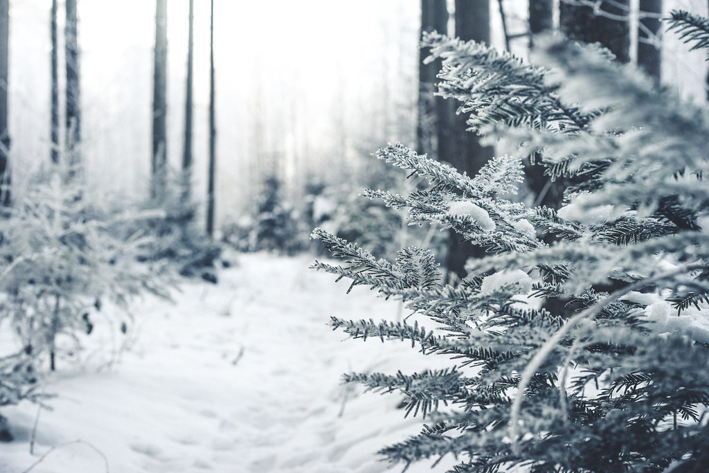 The Unexpected Cold Snaps (image credits: flickr)