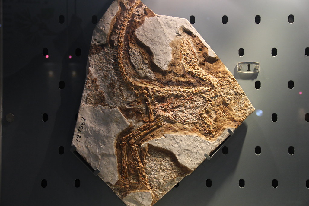 The Science of Ancient Fashion (image credits: flickr)