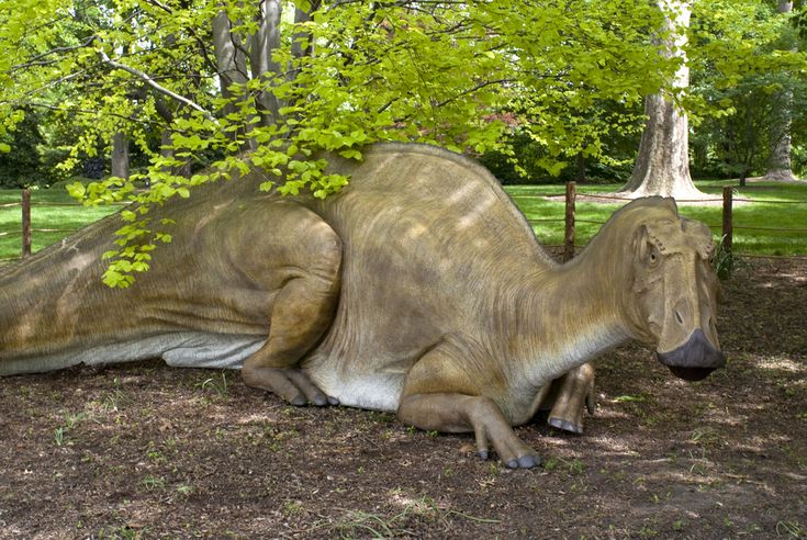 Parrosaurus Missouriensis - The Official State Dinosaur (image credits: Parrosaurus Missouriensis. Source: Flickr)