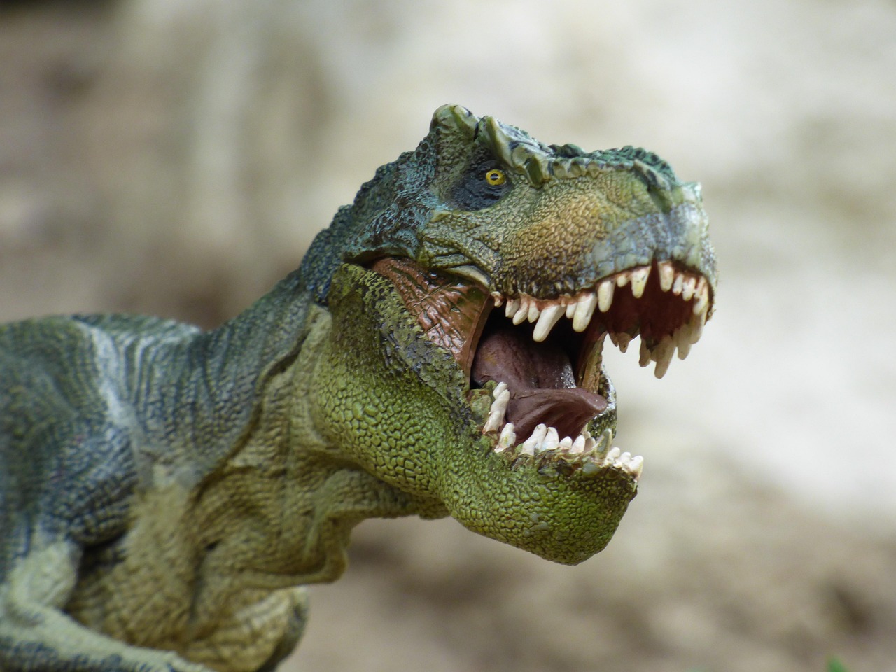 The Missouri Tyrannosaur - A Fearsome Predator's Trace (image credits: pixabay)