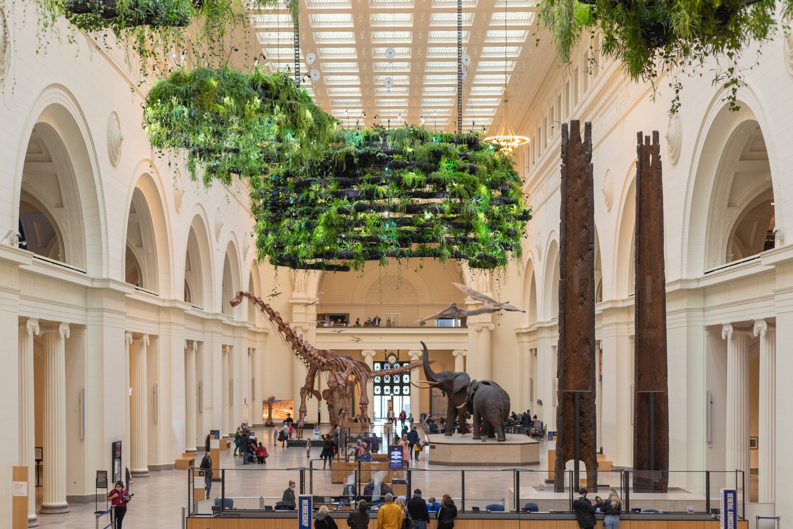 Beyond Dinosaurs: The Full Field Experience (image credits: By Paul Burley, CC BY-SA 4.0, https://commons.wikimedia.org/w/index.php?curid=114547755)