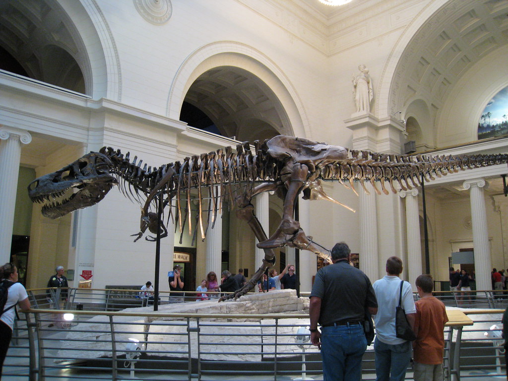 The Summer of SUE: Celebrating 25 Years (image credits: flickr)