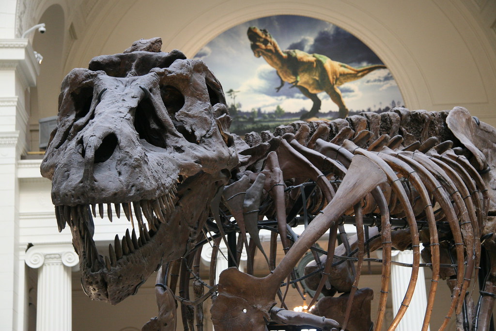 Conclusion (image credits: flickr)