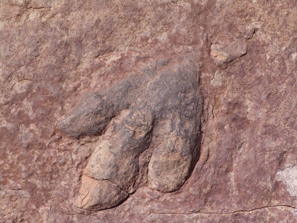 The Briar Site: Where Giants Walked