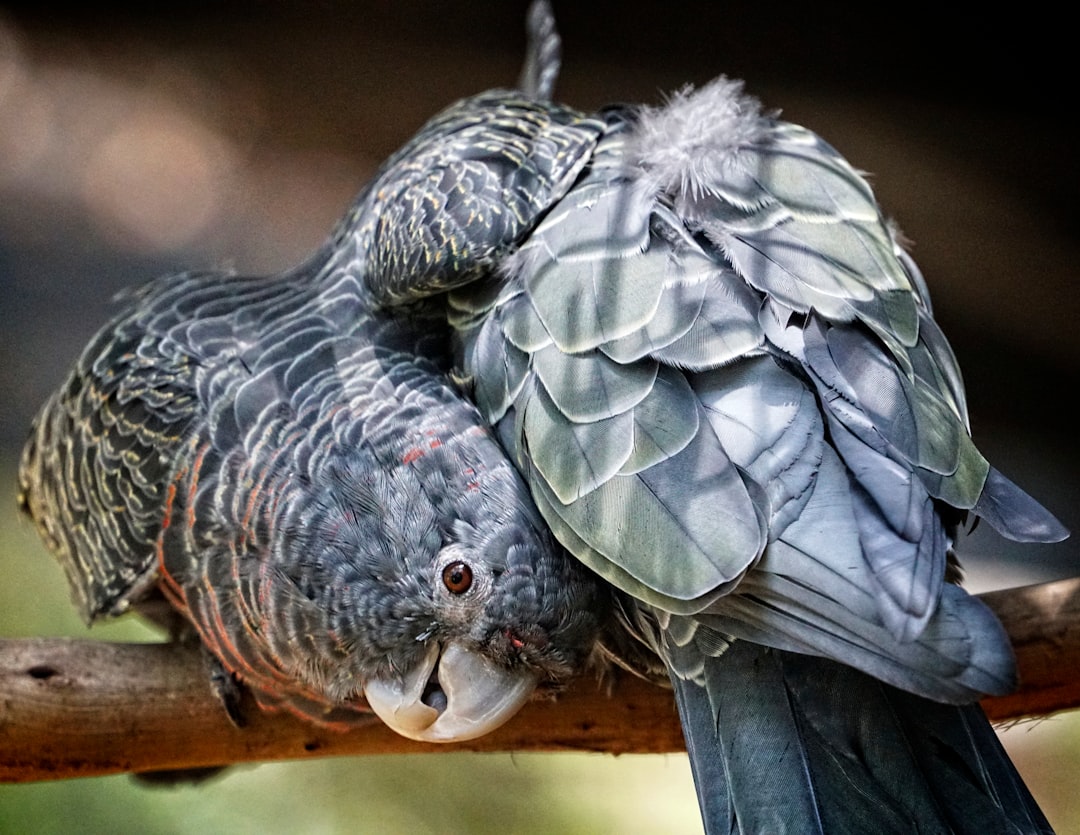 The Dinosaur-Bird Sleep Connection (image credits: unsplash)