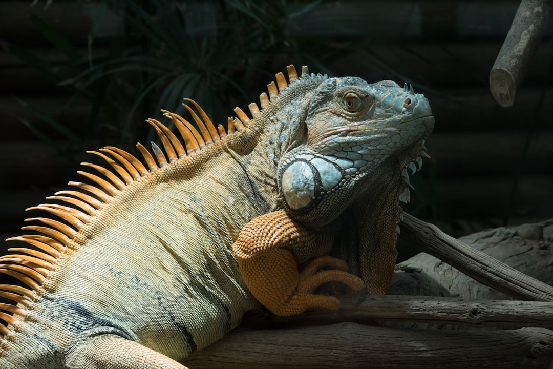 Conclusion (image credits: unsplash)