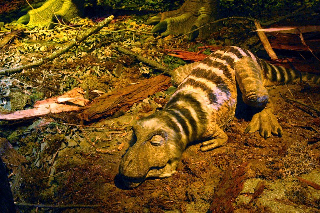 Dino Dreams: Could Dinosaurs Have Had REM Sleep?