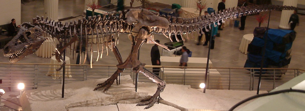 Bipedal Stance for Superior Mobility (image credits: flickr)