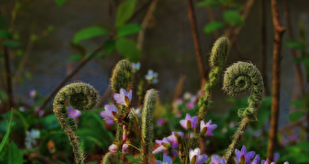 Revolutionary Plant Architecture (image credits: unsplash)