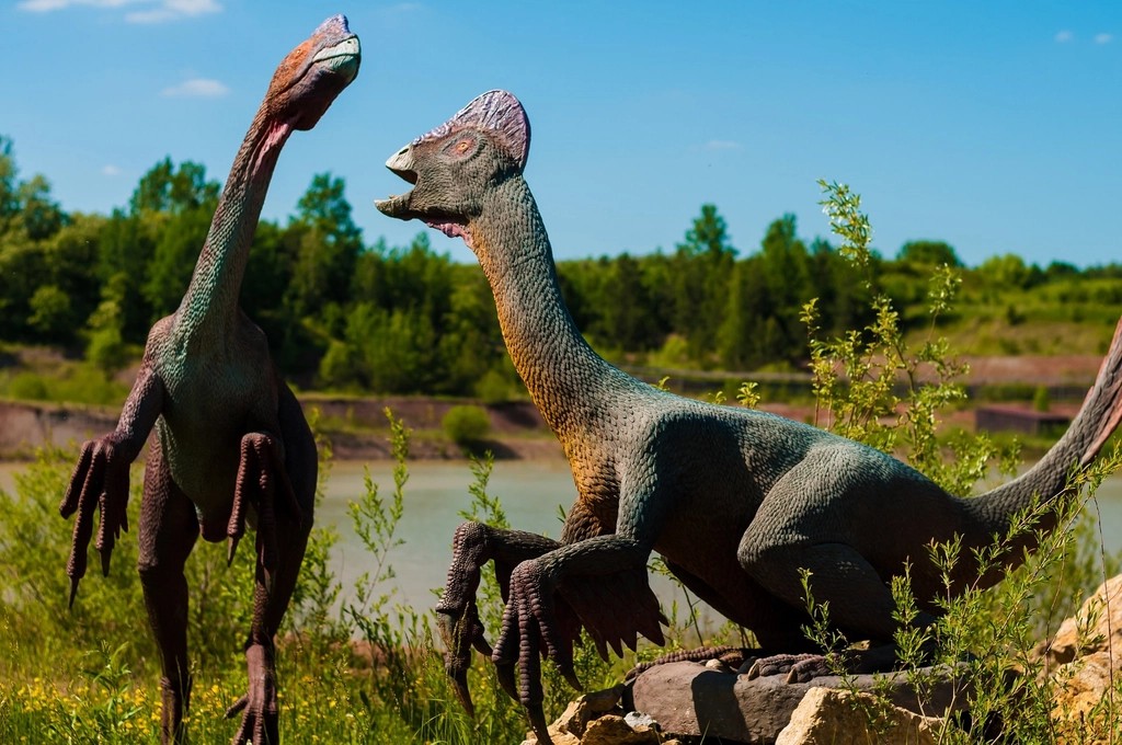 Did Dinosaurs Shape the Flower Revolution? (image credits: rawpixel)