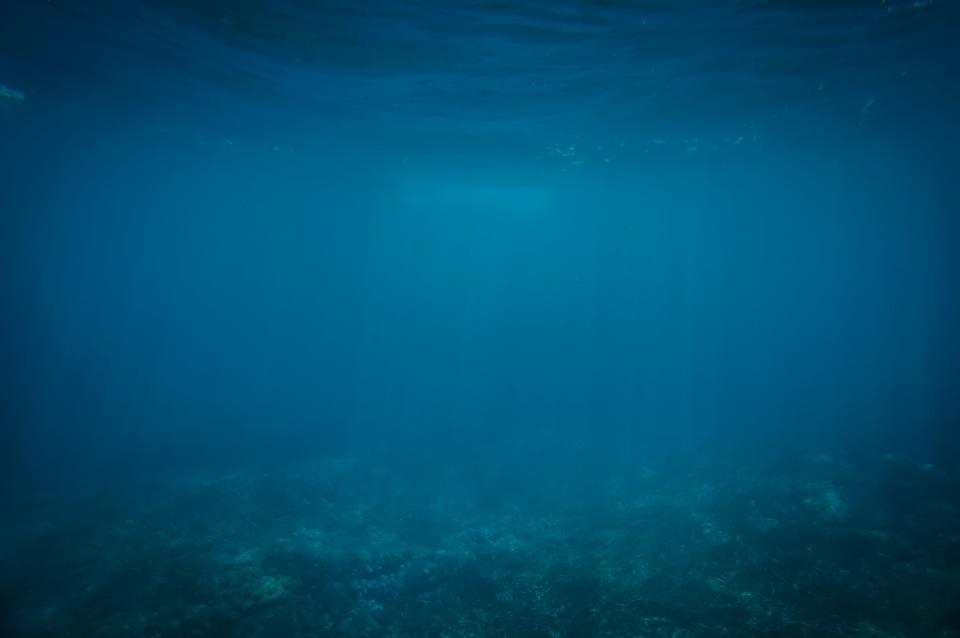 The Temperature Trap: Bathwater That Burns (image credits: stocksnap)
