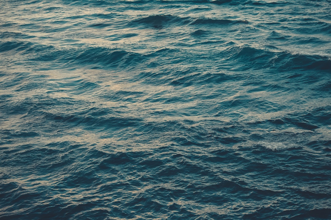 The Chemistry of Death: Ocean Anoxic Events (image credits: unsplash)