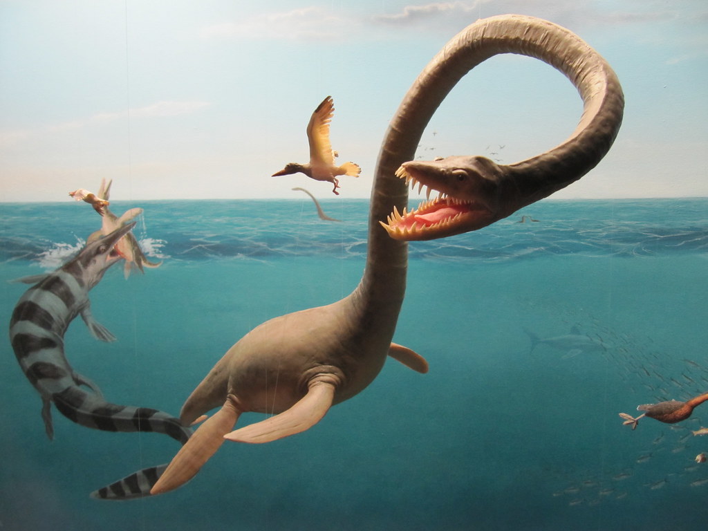 The Plesiosaur Problem: Four-Flippered Nightmares (image credits: flickr)