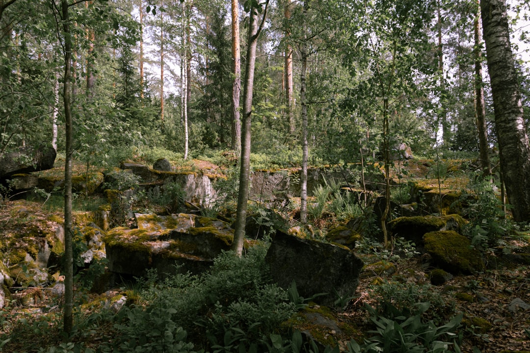 The World Before Flowers (image credits: unsplash)