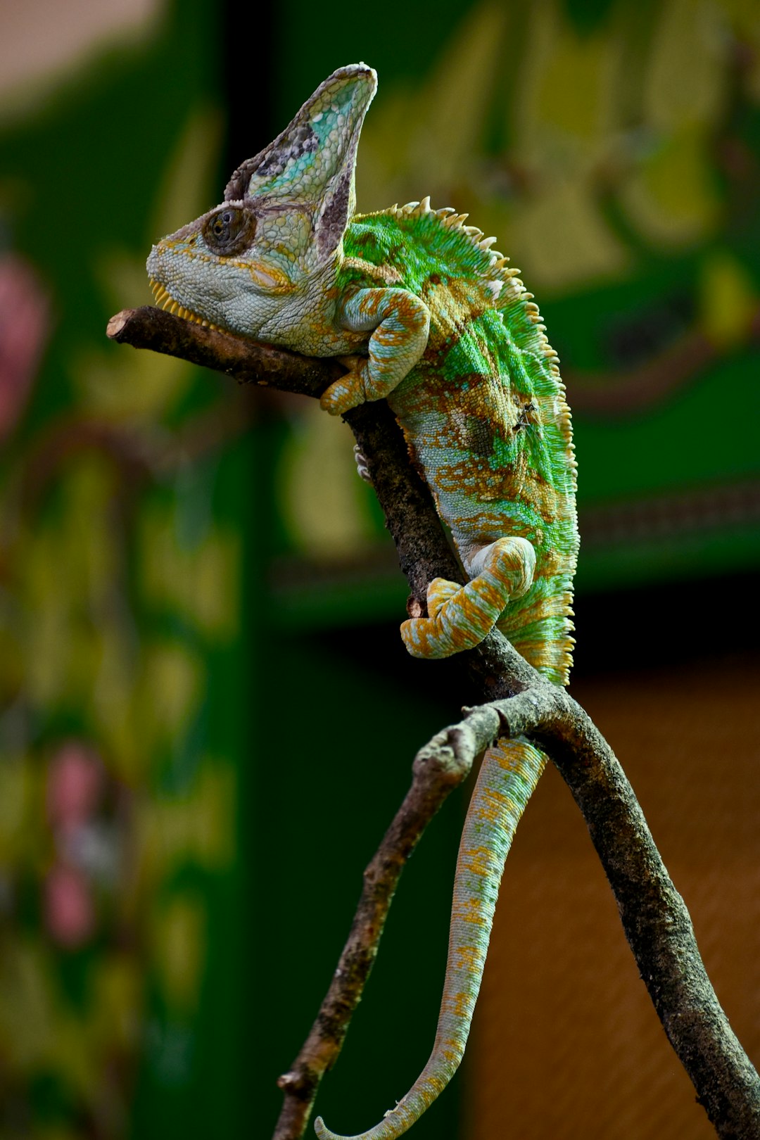 Living Analogies: What Modern Animals Tell Us (image credits: unsplash)
